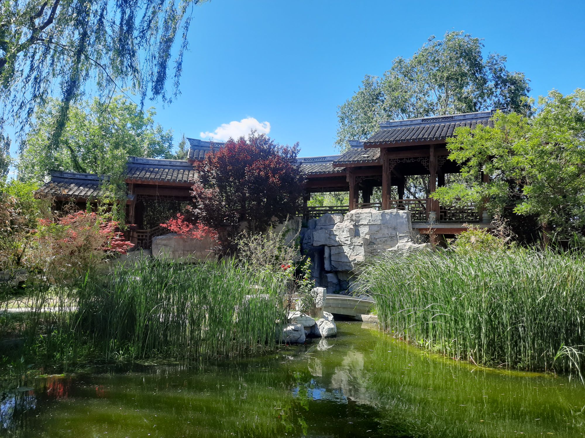 北京園博園，一處引人入勝的都市綠洲，北京園博園，都市綠洲的魅力所在