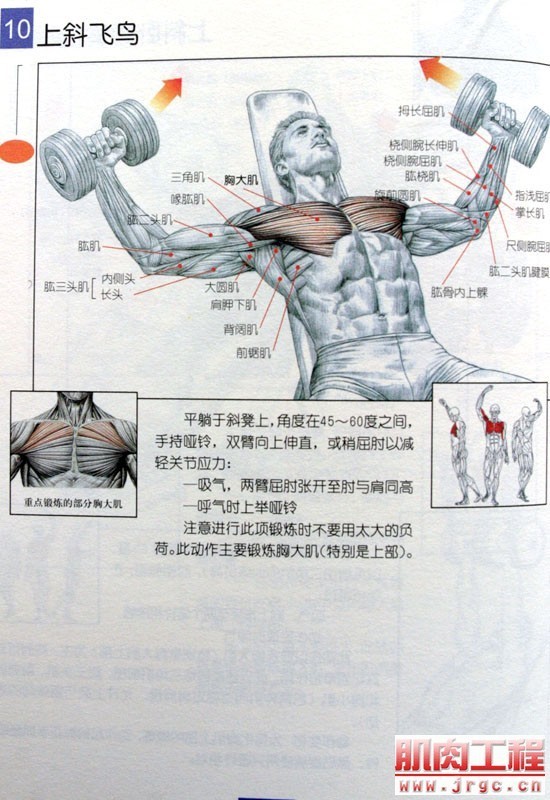 胸肌最佳訓(xùn)練方法，塑造堅(jiān)實(shí)線條的藝術(shù)，胸肌雕琢術(shù)，塑造堅(jiān)實(shí)線條的藝術(shù)之道