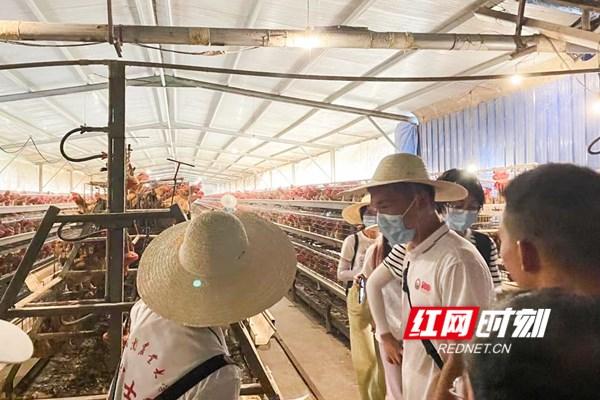 唐人神集團股份有限公司，塑造卓越，引領(lǐng)未來，唐人神集團股份有限公司，塑造卓越，引領(lǐng)未來發(fā)展