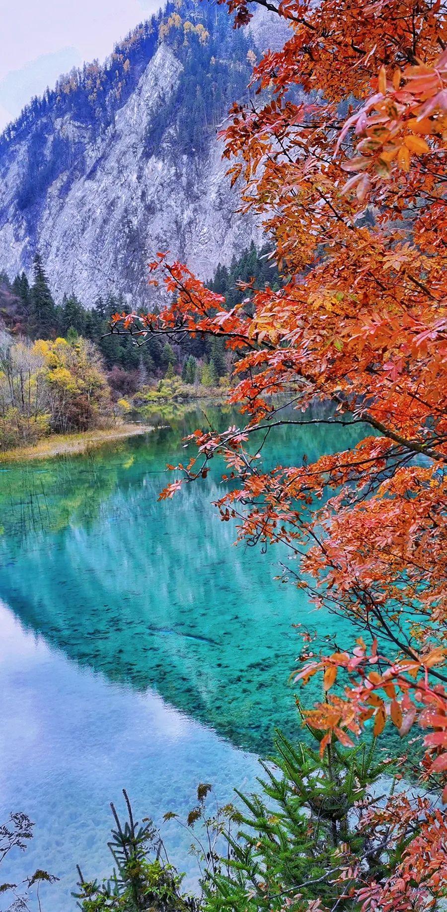 適合八、九月份旅游的地方，探索秋季美景的最佳選擇，秋季旅游指南，探索八、九月份最美的旅行目的地