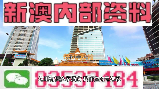 新澳2025今晚開獎資料詳解，新澳2025今晚開獎資料全面解析
