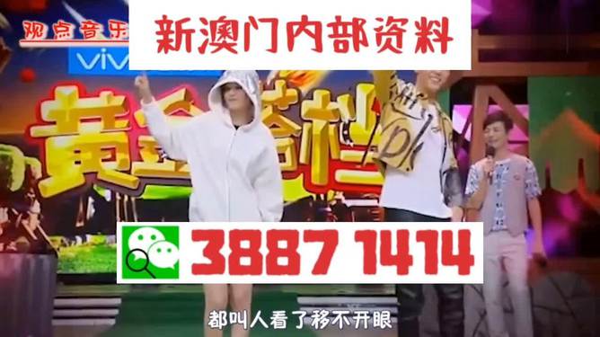 澳門今晚必開一肖，探索生肖彩票的魅力與背后的文化邏輯，澳門生肖彩票背后的文化邏輯與魅力探索，今晚必開一肖揭秘