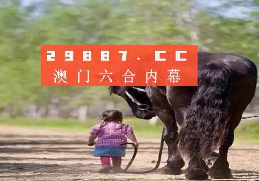 澳門內(nèi)部資料精準(zhǔn)大全2023，深度探索與最新資訊概述，澳門內(nèi)部資料深度探索與最新資訊概述，精準(zhǔn)大全2023