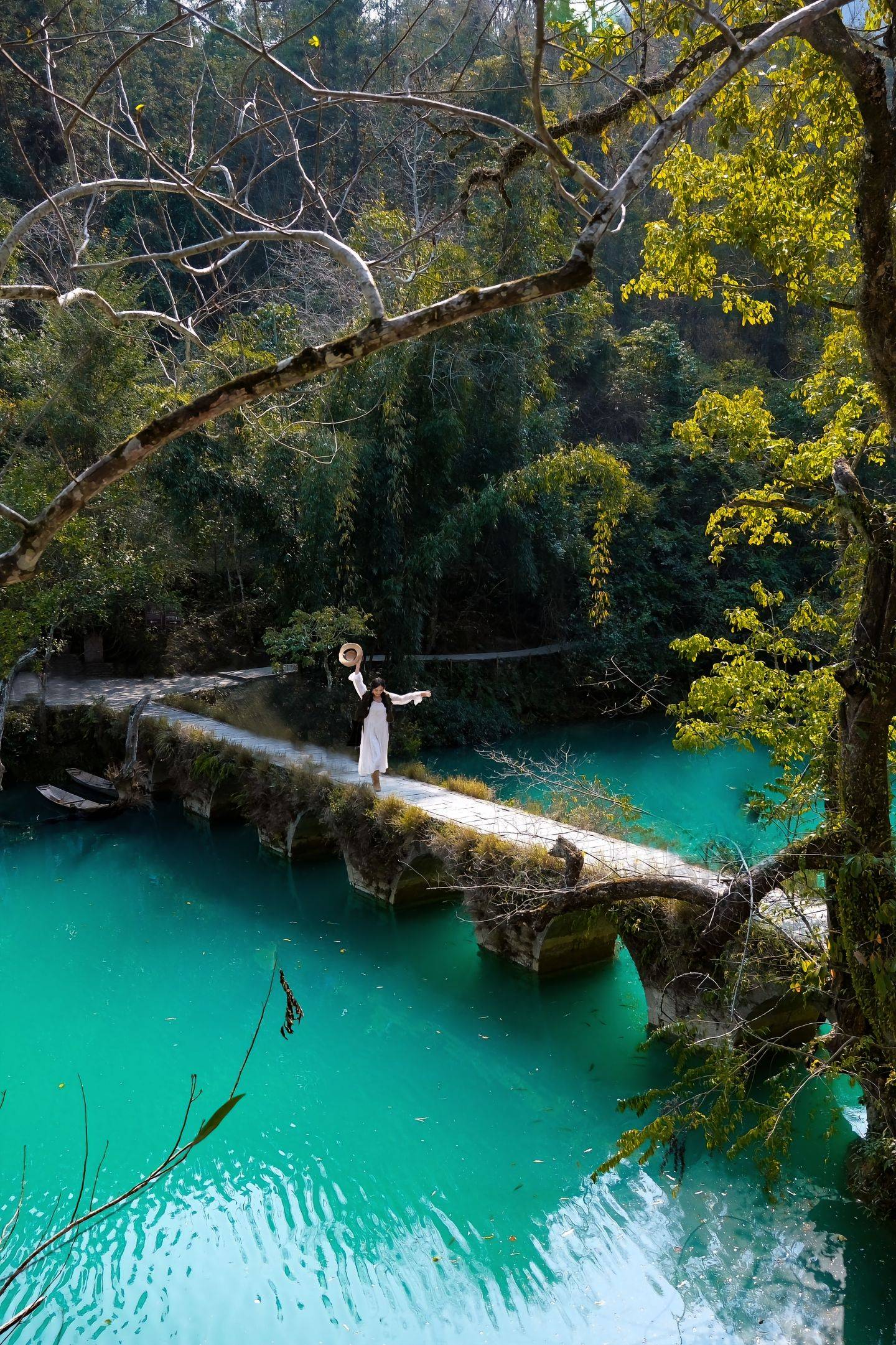 貴州旅游的最佳季節(jié)——探索最佳旅游月份，貴州旅游最佳季節(jié)揭秘，探尋最佳旅游月份