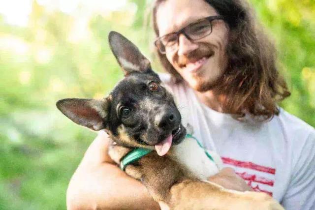 動物世界與人類軟件的奇妙交融，看動物強，人類軟件的崛起與未來展望，動物軟件交融，動物強與人類軟件的崛起與未來展望