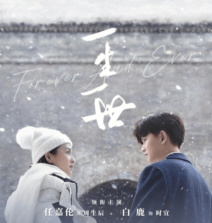 一生一世，永恒的承諾與無(wú)悔的陪伴，一生一世，永恒承諾與無(wú)悔陪伴的旅程