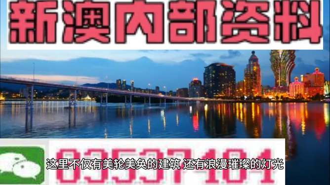 新澳門單雙王，游戲背后的文化魅力與策略深度，澳門單雙王游戲，文化魅力與策略深度探索