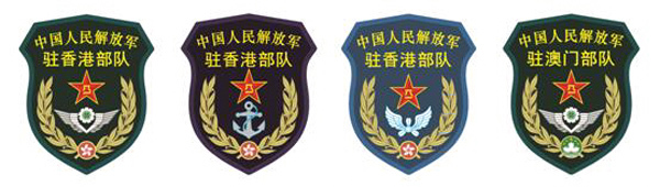 預備役臂章，榮譽與責任的象征，預備役臂章，榮譽與責任的標志