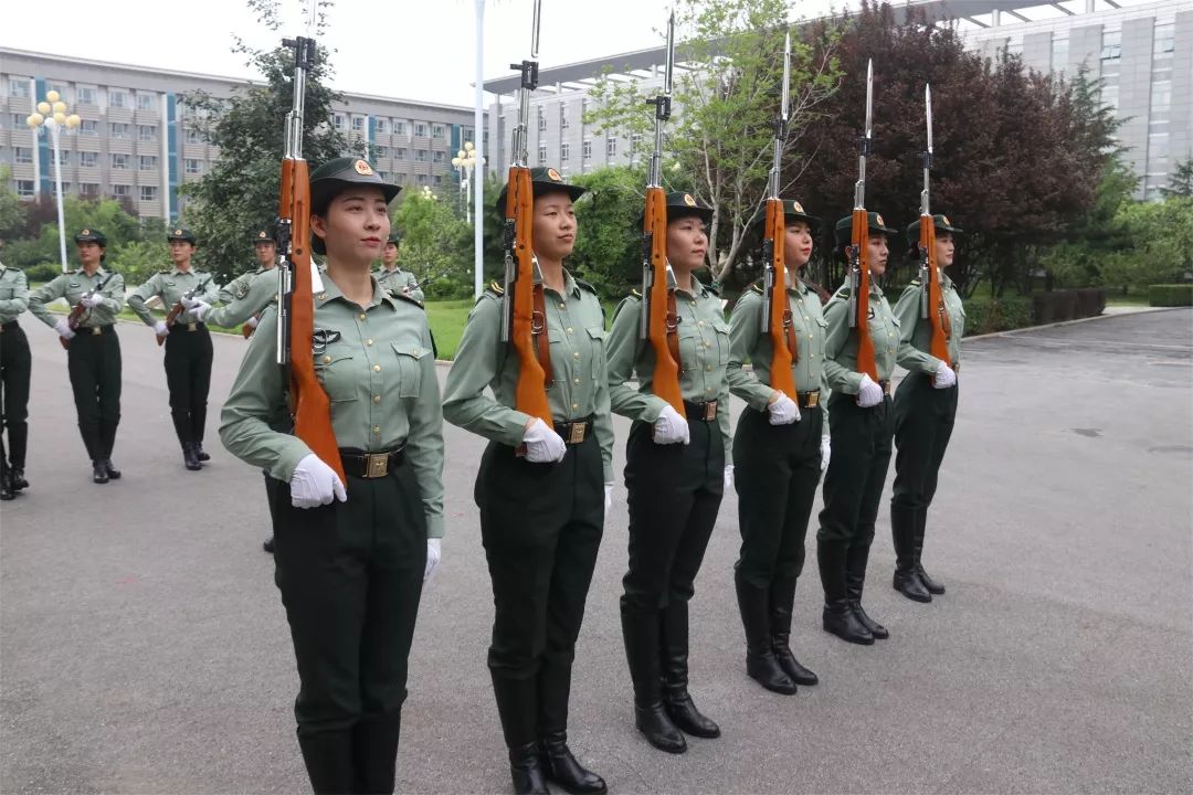 儀仗隊(duì)女兵退伍，榮耀與未來(lái)的交織，儀仗隊(duì)女兵退伍，榮耀與未來(lái)的碰撞