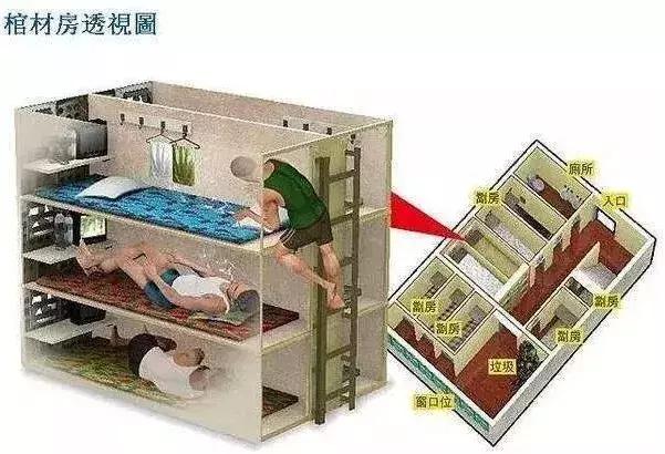 香港綜合出號走勢圖，探索與解讀，香港綜合出號走勢圖的探索與解讀