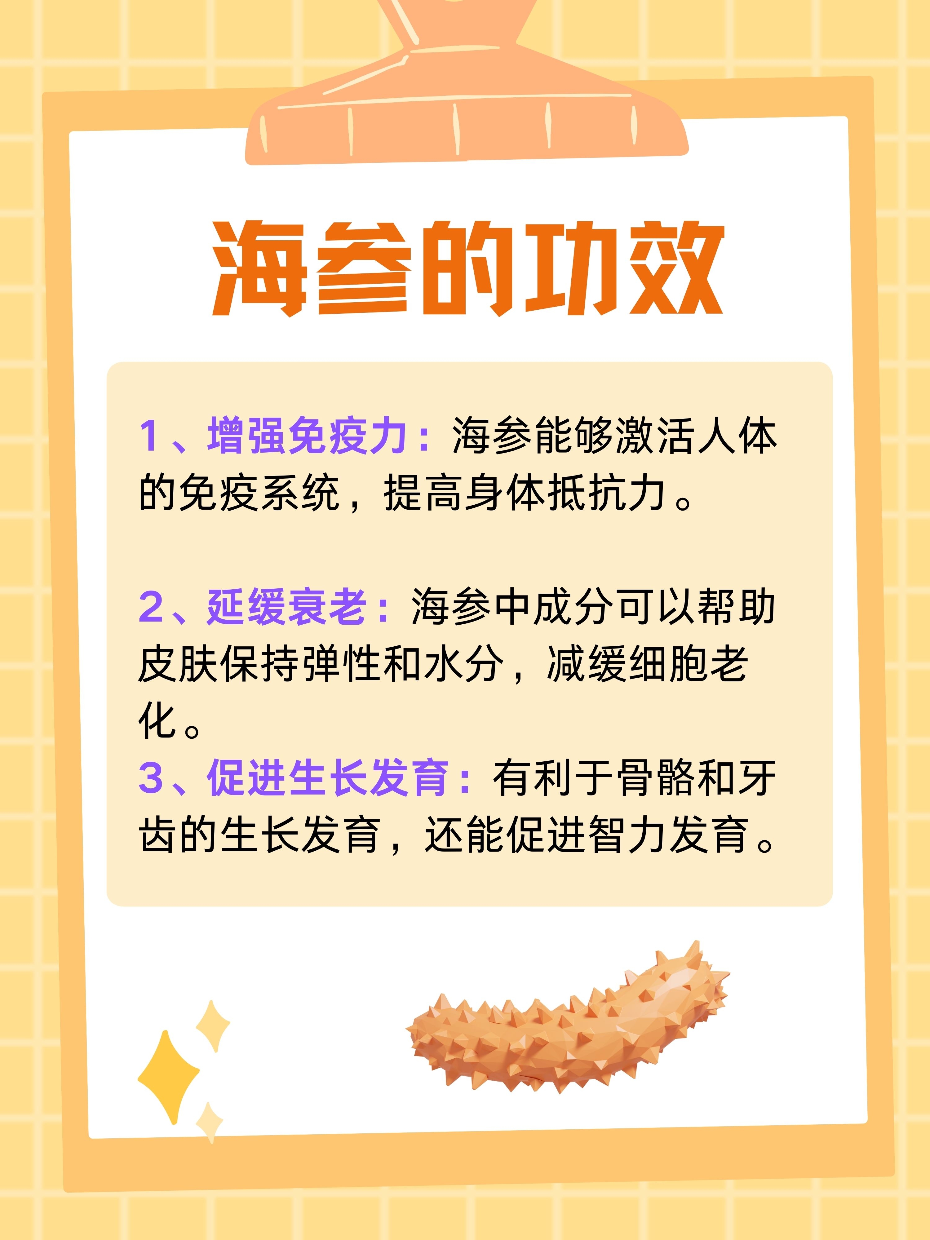 海參，揭示其功效與作用，海參，深度解析其功效與作用