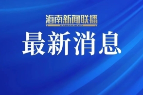 新澳2025正版資料免費(fèi)公開，探索與啟示，新澳2025正版資料免費(fèi)公開，探索之旅與啟示