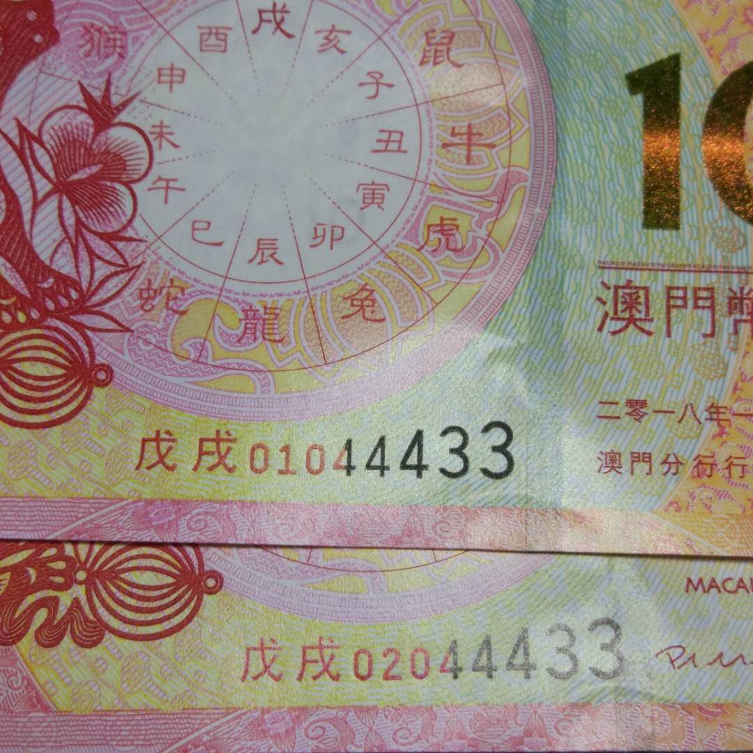 澳門出羊下期必開一肖，探索生肖彩票的奧秘與期待，澳門生肖彩票揭秘，羊年生肖彩票期待與奧秘探索