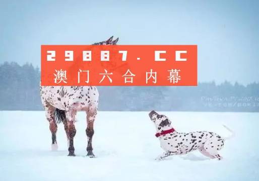澳門內(nèi)部資料精準(zhǔn)大全2023，深度探索與預(yù)測(cè)分析，澳門內(nèi)部資料深度探索與預(yù)測(cè)分析2023