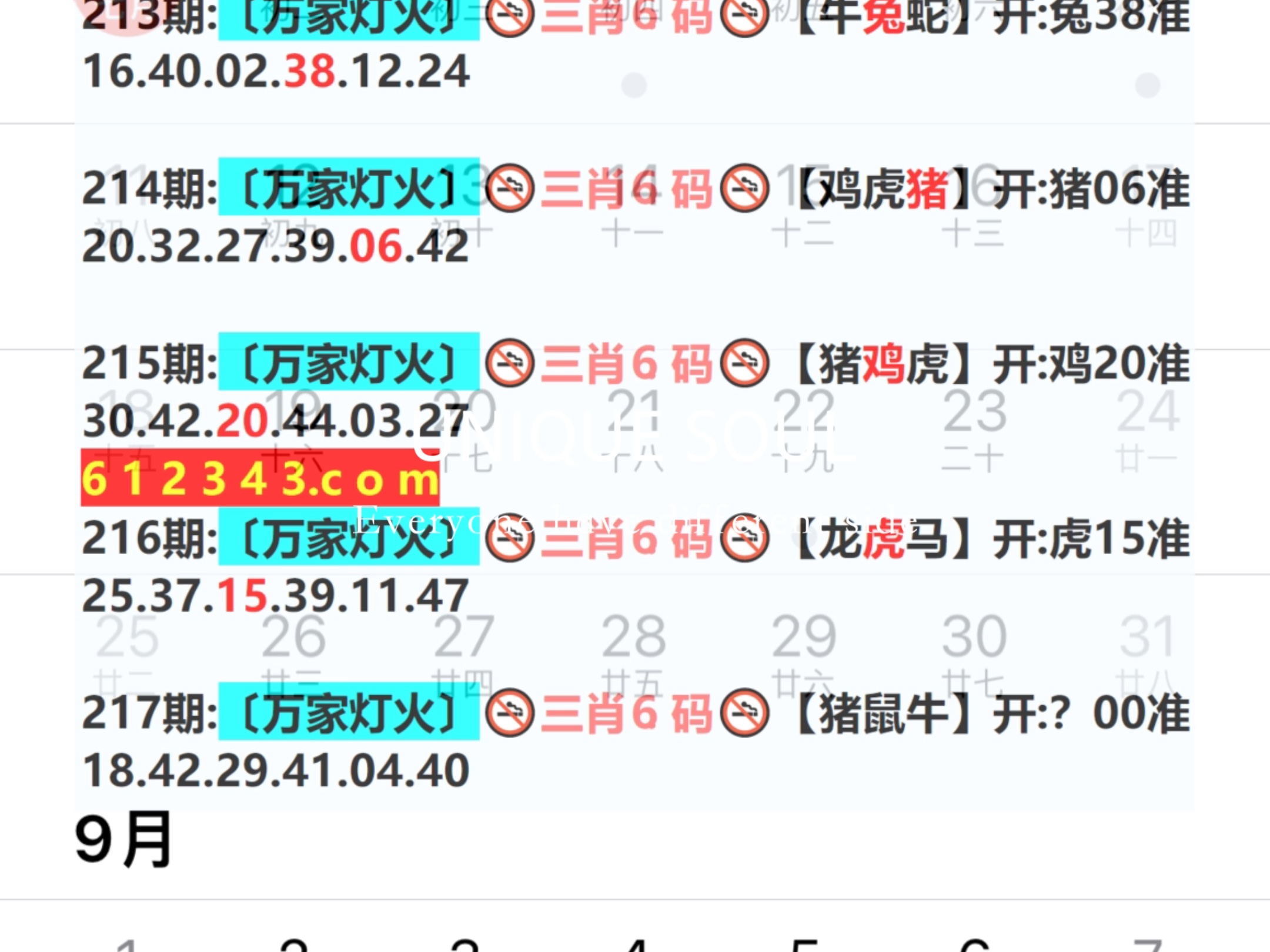 揭秘新澳門(mén)一肖一碼，探尋百分之百準(zhǔn)確預(yù)測(cè)的奧秘，揭秘澳門(mén)生肖一碼預(yù)測(cè)，百分之百準(zhǔn)確預(yù)測(cè)的奧秘探索