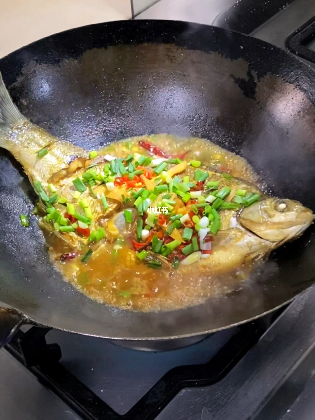 魚的100種做法大全，千變萬化的烹飪藝術，魚的烹飪藝術，100種做法大全