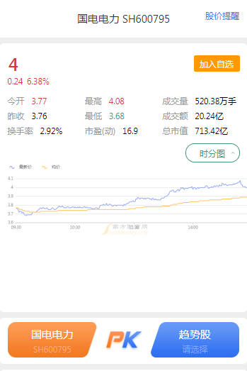 國電電力股票600795，深度解析與前景展望，國電電力股票600795深度解析及未來前景展望
