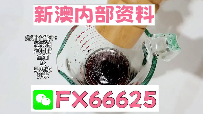 新澳正版資料免費提供的價值與影響，新澳正版資料免費提供的價值及其影響