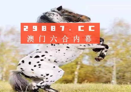 澳門今晚看四不像，探索與期待的不解之緣，澳門夜色，四不像的探秘與期待之旅