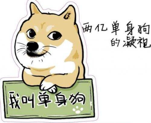 單身庫，探索現(xiàn)代單身生活的多元世界，單身庫，現(xiàn)代單身生活的多元世界探索