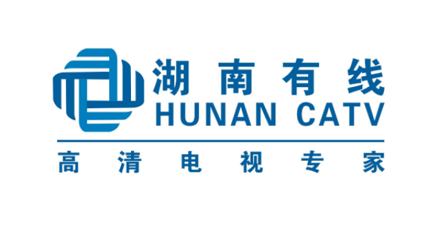 電廣傳媒集團(tuán)，十四家公司重組引領(lǐng)行業(yè)變革，電廣傳媒集團(tuán)引領(lǐng)行業(yè)變革，十四家公司重組重塑市場(chǎng)格局