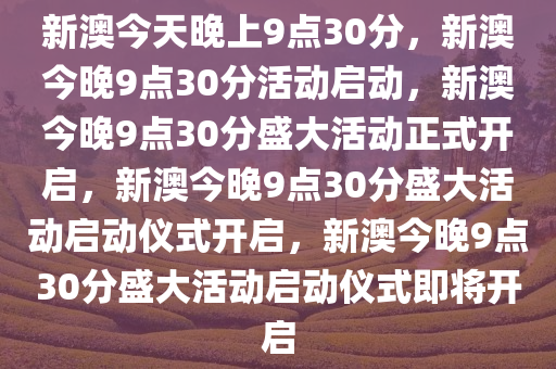 新澳之夜，九點三十分的奇遇，新澳之夜，九點三十分的神秘奇遇