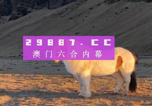 澳門彩票文化之旅，探索天天六開彩的魅力與未來展望（2025版），澳門彩票文化之旅，探索天天六開彩的魅力與未來展望展望至2025年