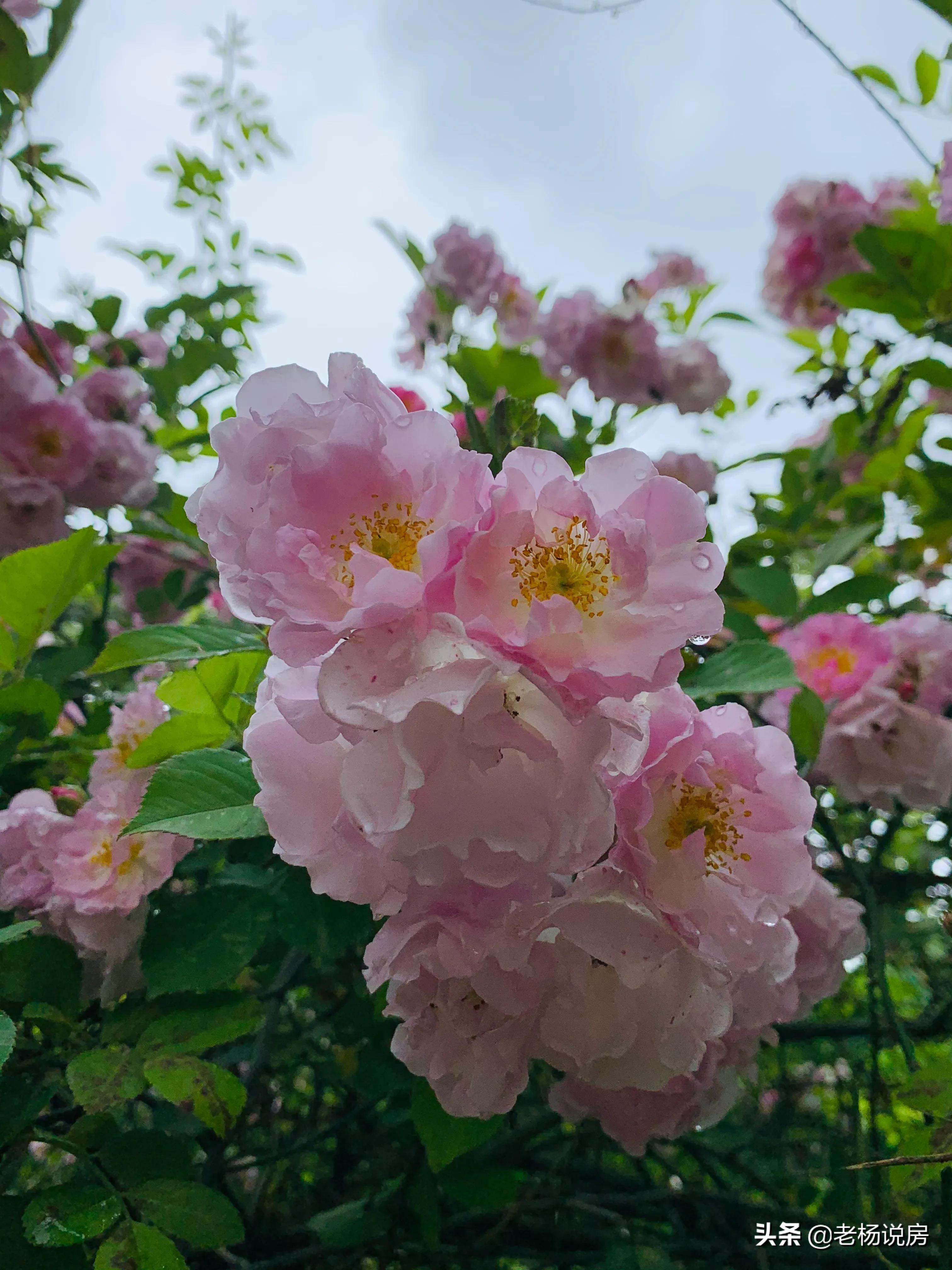 推薦 第9頁