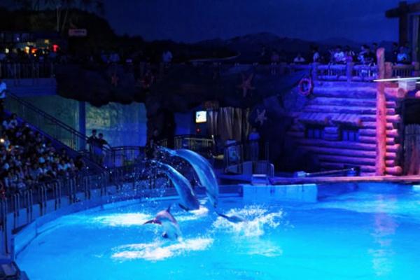 大連老虎灘海洋公園門票優(yōu)惠政策詳解，大連老虎灘海洋公園門票優(yōu)惠政策全面解析
