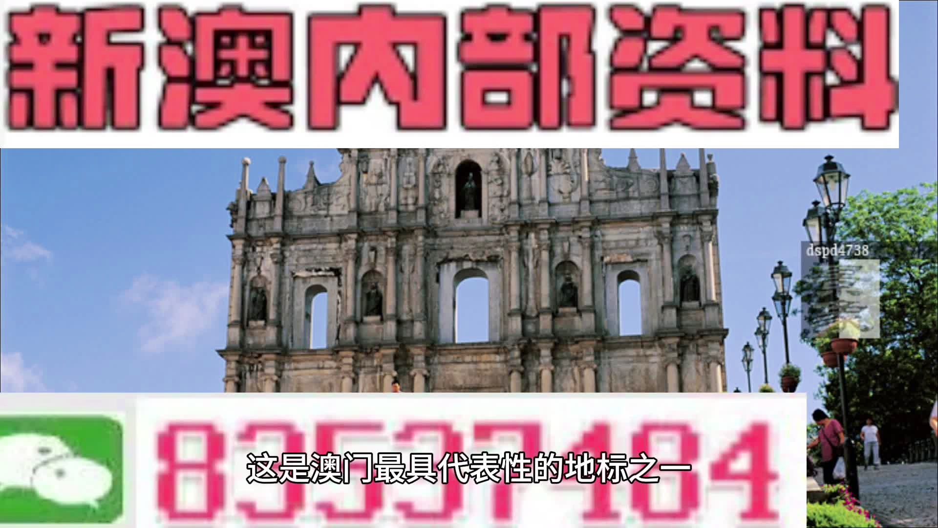 新澳門(mén)2025年正版免費(fèi)公開(kāi)，未來(lái)博彩旅游業(yè)的展望與機(jī)遇，澳門(mén)未來(lái)博彩旅游業(yè)展望與機(jī)遇，2025年正版免費(fèi)公開(kāi)展望分析
