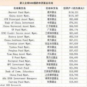 海外基金排名前十名，深度解析與比較，海外基金排名前十深度解析與比較指南