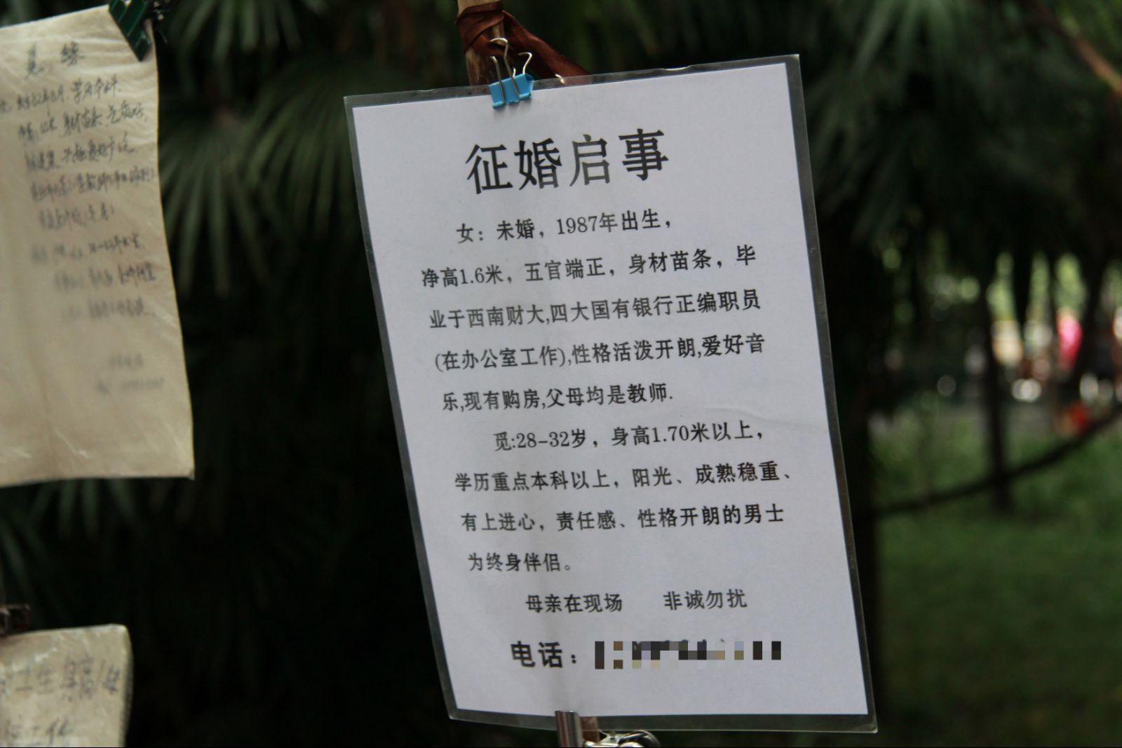 征婚啟事圖片搞笑版，搞笑版征婚啟事圖片