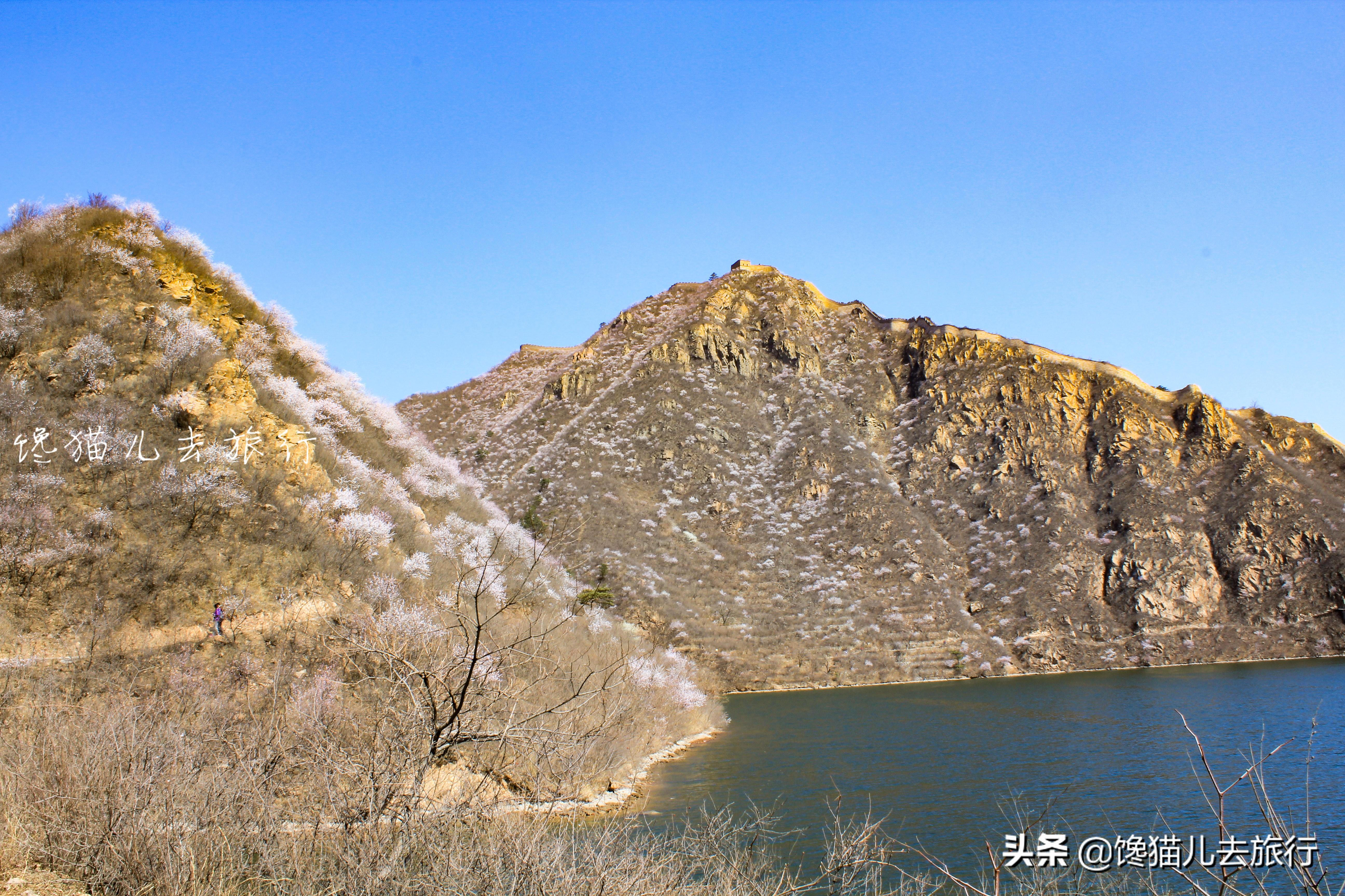 北京長(zhǎng)城一日游旅游團(tuán)報(bào)價(jià)詳解，北京長(zhǎng)城一日游旅游團(tuán)報(bào)價(jià)全解析