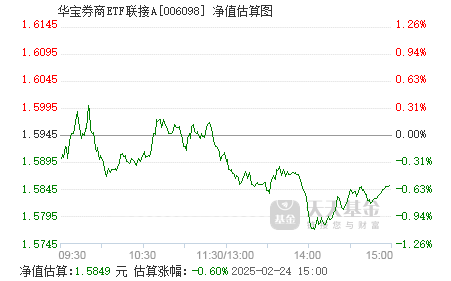 基金002345，深度解析與前景展望，基金002345深度解析與未來前景展望