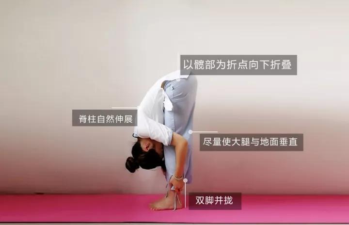 瑜伽視頻教程初級全套視頻下載，入門指南與體驗，瑜伽初級全套視頻教程下載，入門指南與體驗之旅