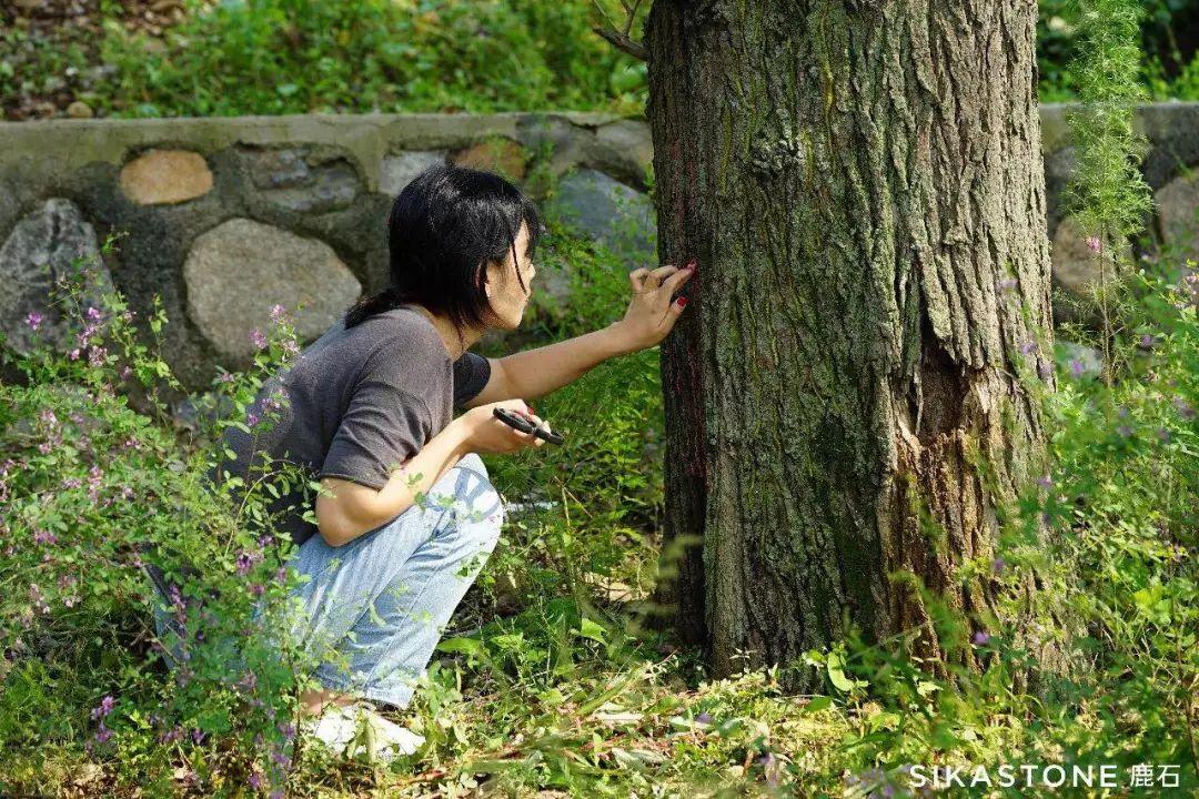 大地資源高清播放，在線觀看的新時代，大地資源高清播放，在線觀看新時代的盛宴