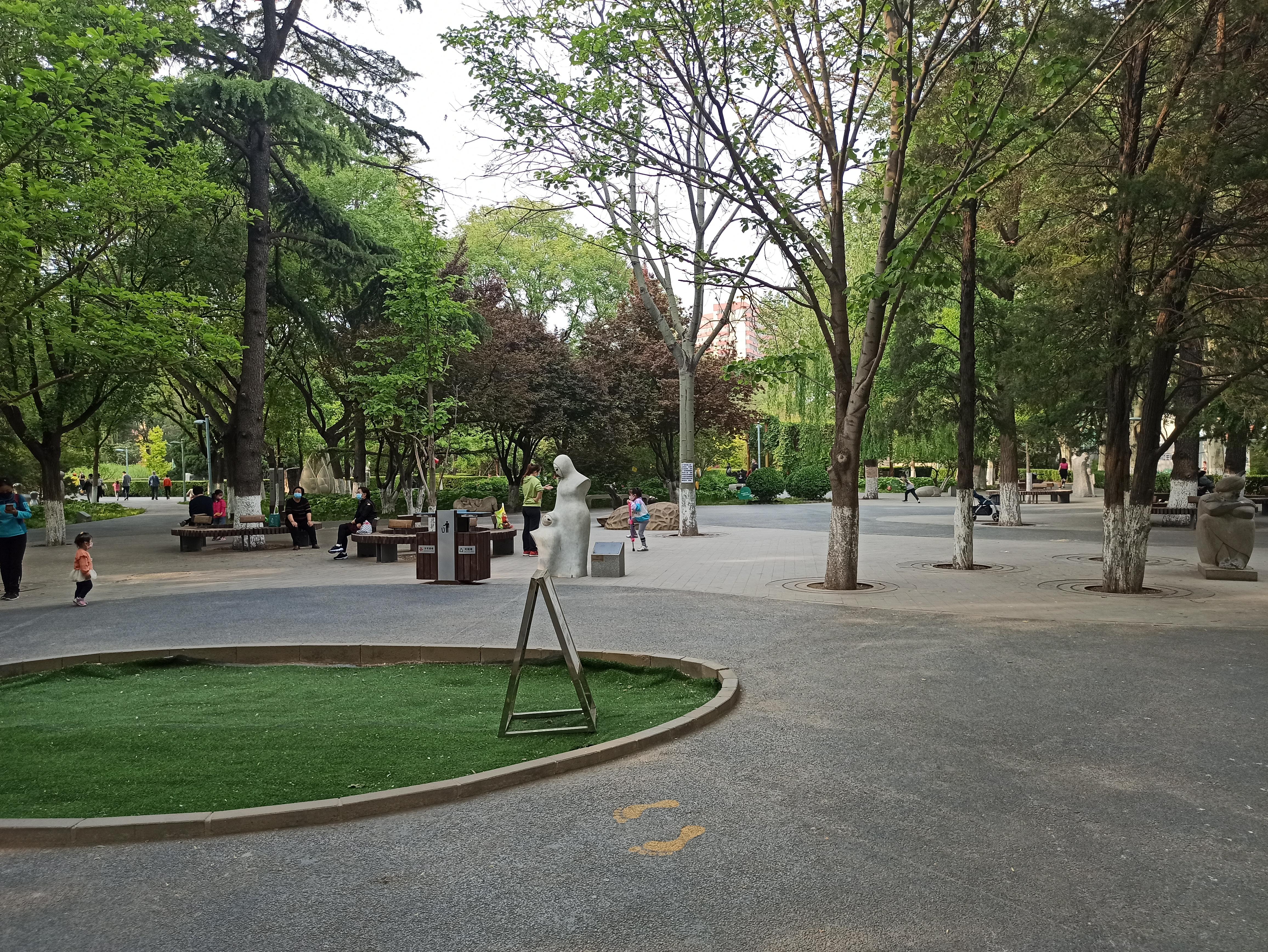公園里的健身器材名稱及其重要性，公園健身器材名稱介紹及其重要性概述