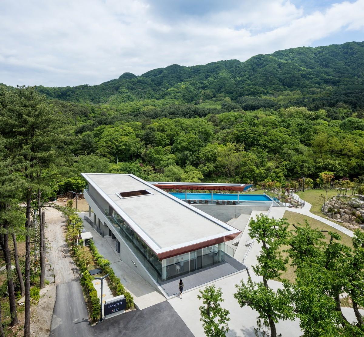 韓國野花，自然之美與文化的交融，韓國野花，自然之美與文化的和諧交融