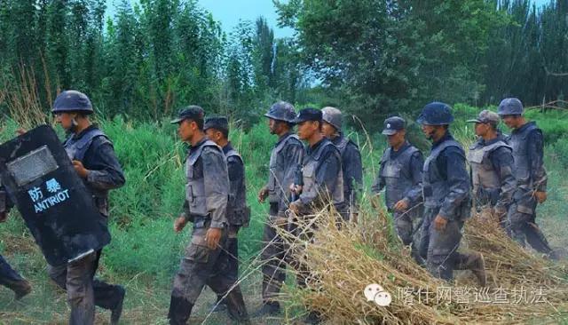 特警力量，守護社會的堅實壁壘，特警力量，社會的堅實守護壁壘
