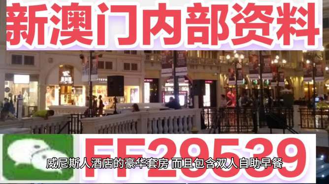 澳門今晚開特，探尋未來的繁榮與魅力，澳門未來繁榮與魅力探尋，今晚特開啟新篇章