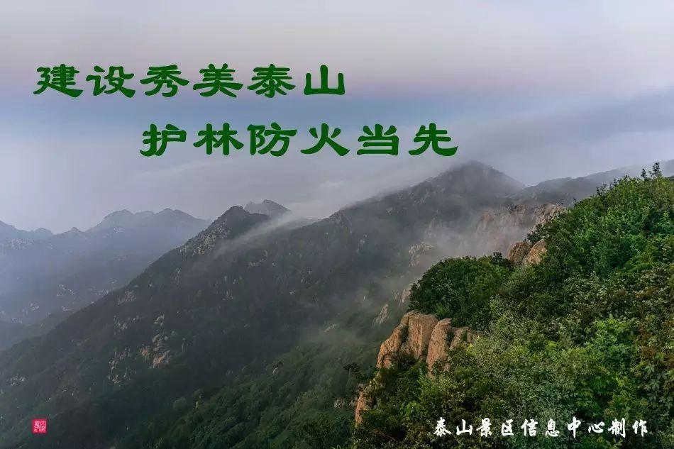 泰山風(fēng)景名勝區(qū)官方網(wǎng)站，探索自然與文化的融合之地，泰山風(fēng)景名勝區(qū)官方網(wǎng)站，自然與文化融合的探索之地