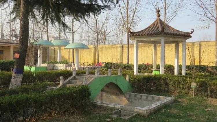 今晚三中三必中號(hào)碼，揭秘彩票背后的秘密與策略，揭秘彩票背后的秘密與策略，三中三必中號(hào)碼今晚揭曉