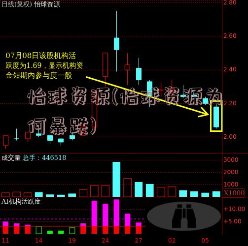 怡球資源股票歷史最高價，回顧與前瞻，怡球資源股票歷史最高價回顧與未來展望
