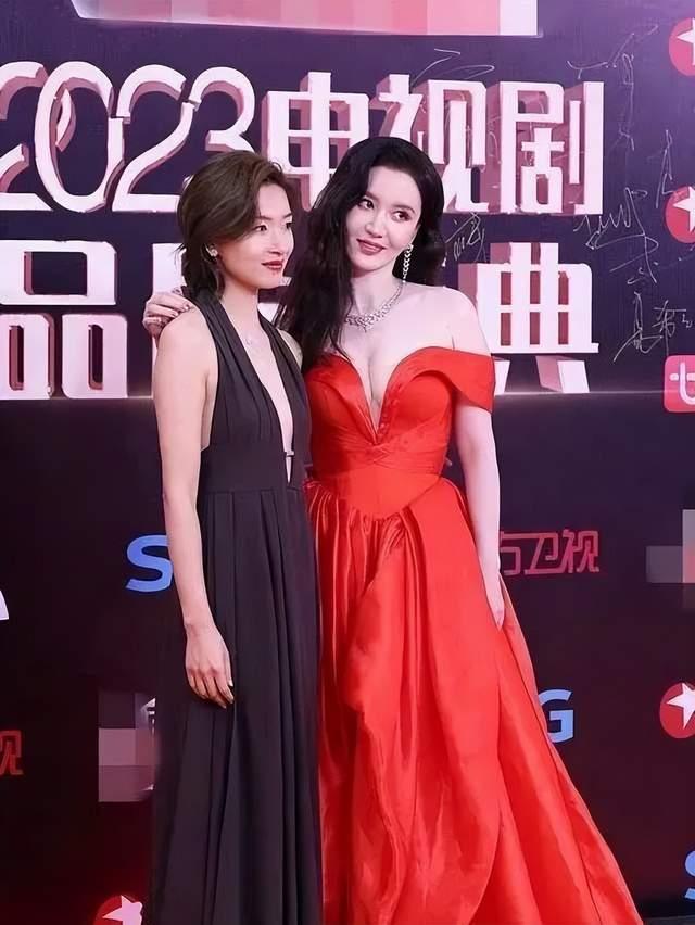 張譯主演的電視劇大全最新，演技的巔峰與時代的印記，張譯主演電視劇大全最新，演技巔峰與時代印記的展現(xiàn)