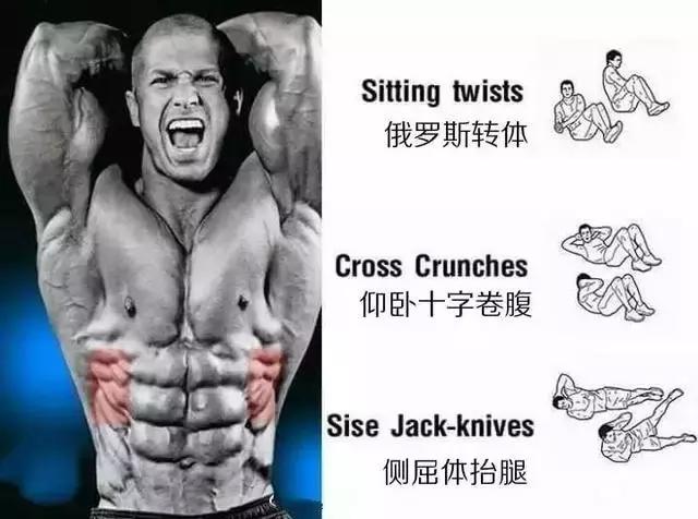怎么練腹肌最快7天——高效腹肌鍛煉指南，高效腹肌鍛煉秘籍，七天速成指南