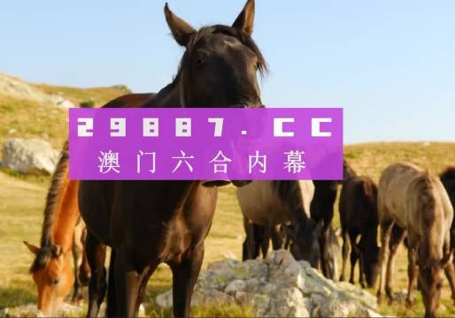 探索管家婆2023正版資料免費澳門，真相與機遇，探索管家婆2023正版資料澳門，真相揭秘與機遇探索
