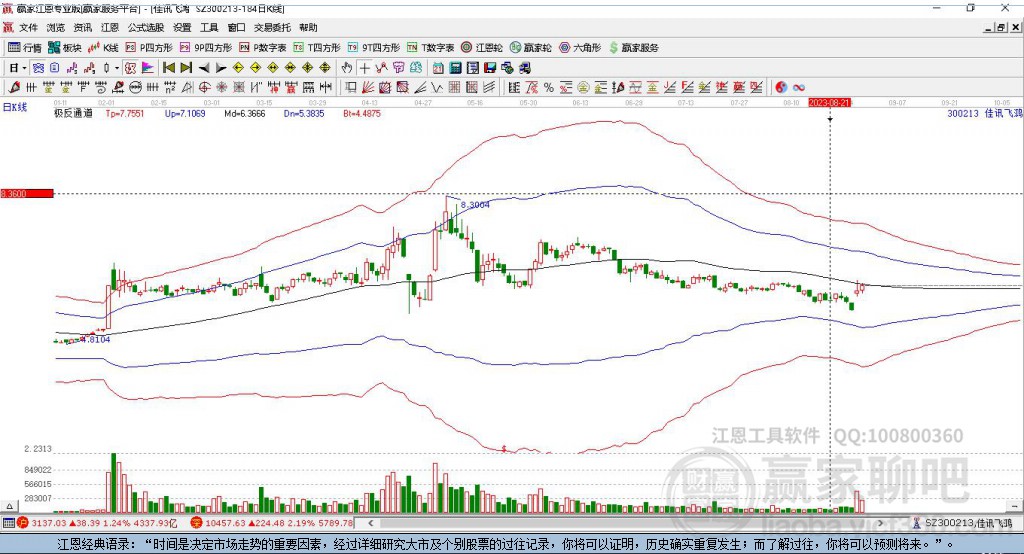 股票300213，深度解析與前景展望，股票300213深度解析與未來前景展望