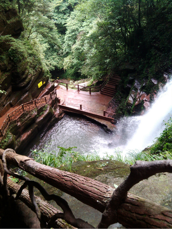雅安碧峰峽旅游攻略，雅安碧峰峽游玩攻略大全