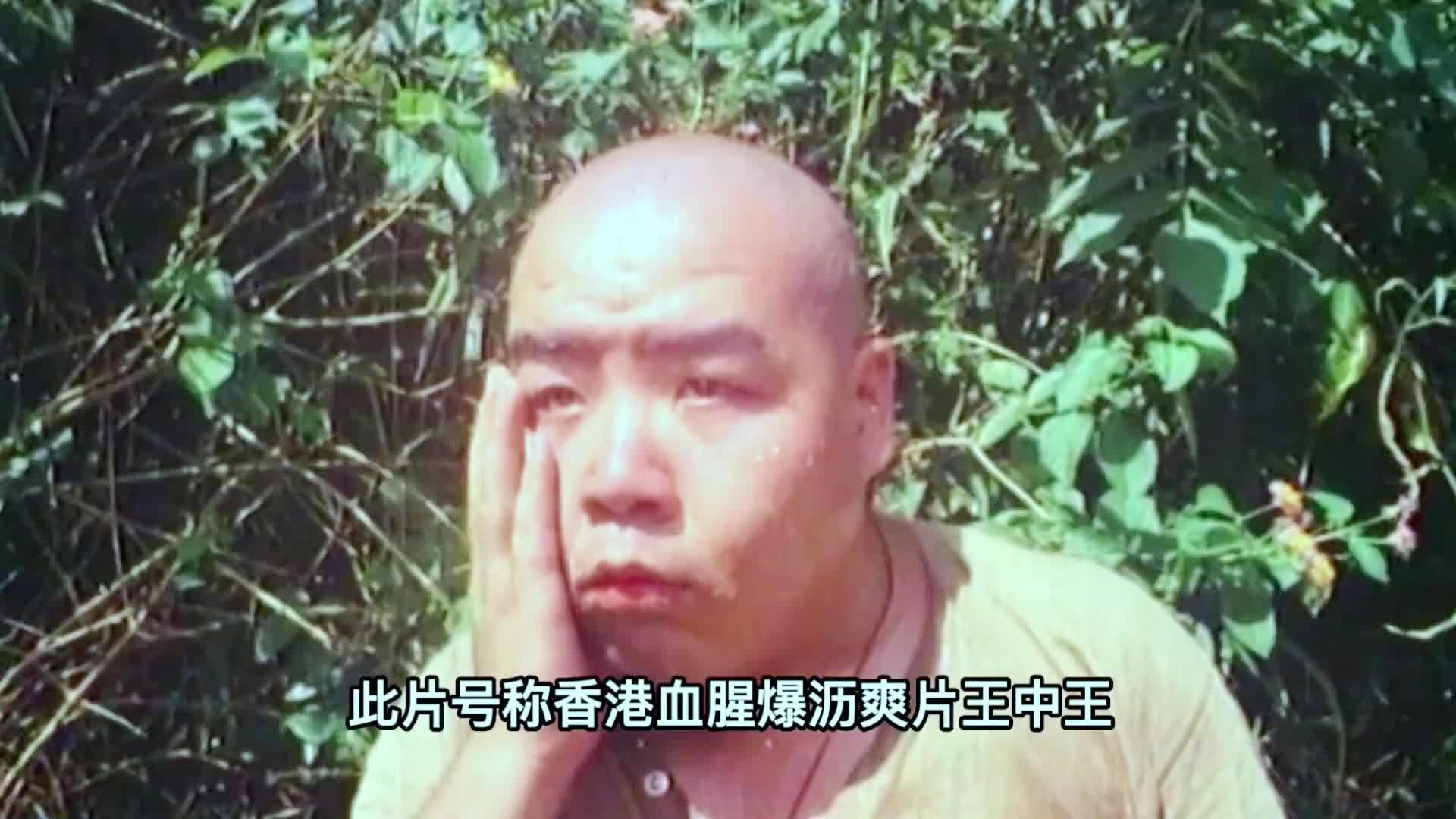 免費獲取途徑揭秘