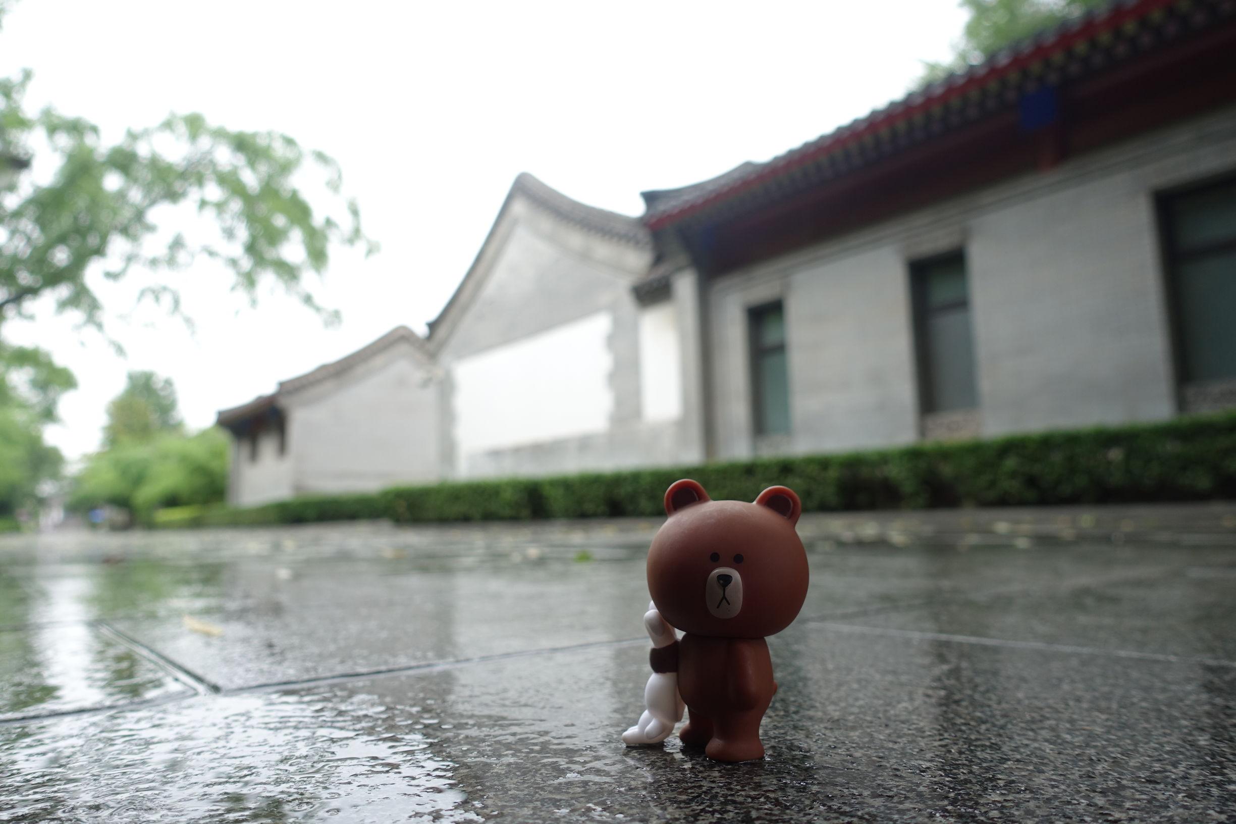 北京相親公園時間表2021，一場尋找緣分的盛會，北京相親公園2021年度緣分尋找盛會時間表揭曉